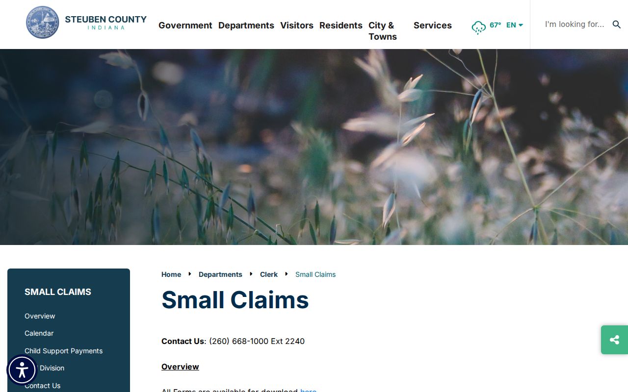 Steuben County civil docket small claims instructions