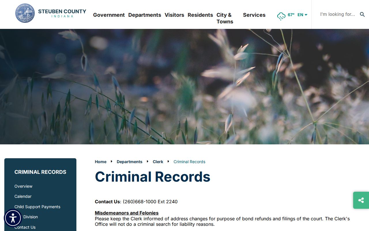 Steuben County criminal docket Clerk search policy